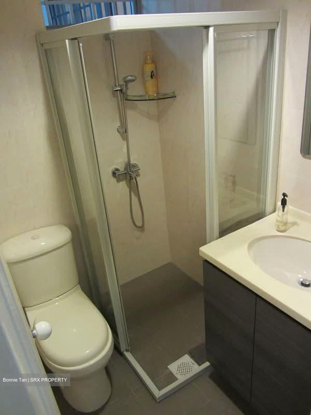Emerald Park (D3), Condominium #591406141